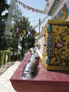 24018_403987573453_3713598_n